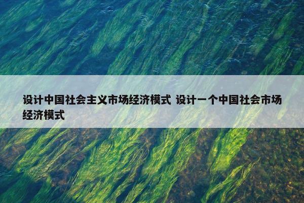 设计中国社会主义市场经济模式 设计一个中国社会市场经济模式