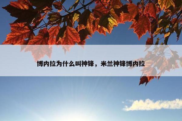 博内拉为什么叫神锋，米兰神锋博内拉