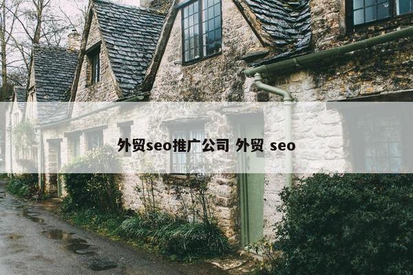 外贸seo推广公司 外贸 seo