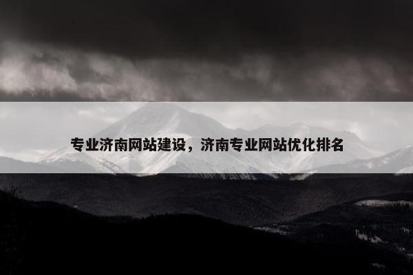 专业济南网站建设，济南专业网站优化排名