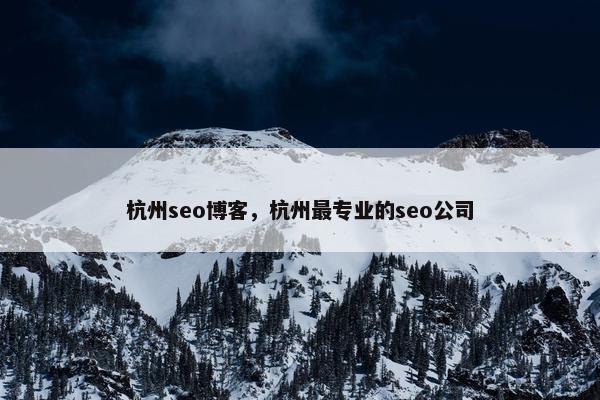 杭州seo博客，杭州最专业的seo公司