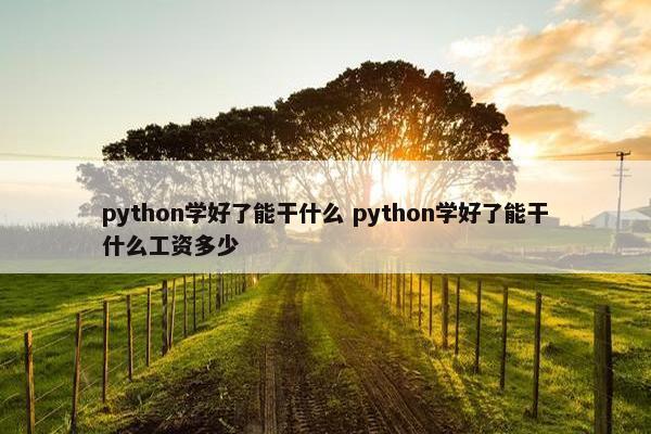 python学好了能干什么 python学好了能干什么工资多少