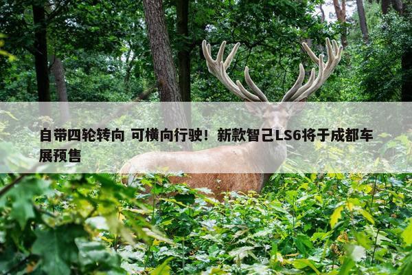 自带四轮转向 可横向行驶！新款智己LS6将于成都车展预售