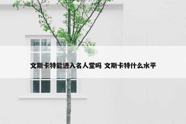 文斯卡特能进入名人堂吗 文斯卡特什么水平