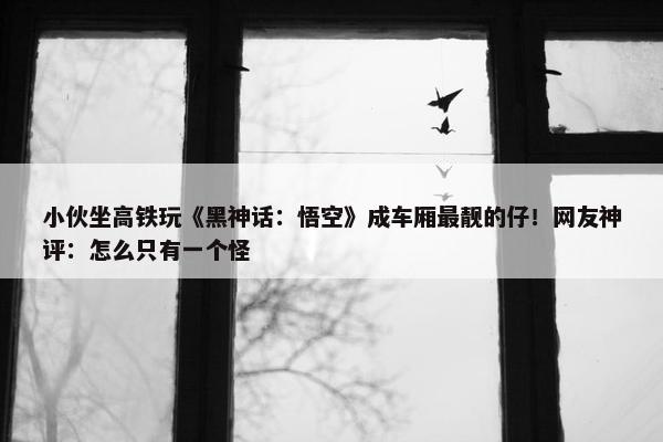 小伙坐高铁玩《黑神话：悟空》成车厢最靓的仔！网友神评：怎么只有一个怪