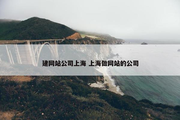 建网站公司上海 上海做网站的公司