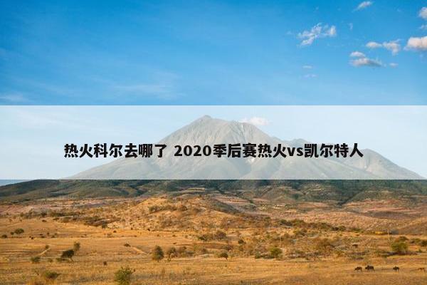 热火科尔去哪了 2020季后赛热火vs凯尔特人