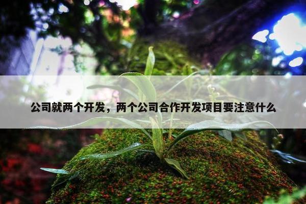 公司就两个开发，两个公司合作开发项目要注意什么