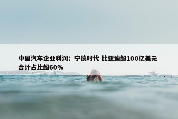 中国汽车企业利润：宁德时代 比亚迪超100亿美元 合计占比超60%