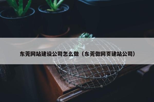 东莞网站建设公司怎么做（东莞做网页建站公司）