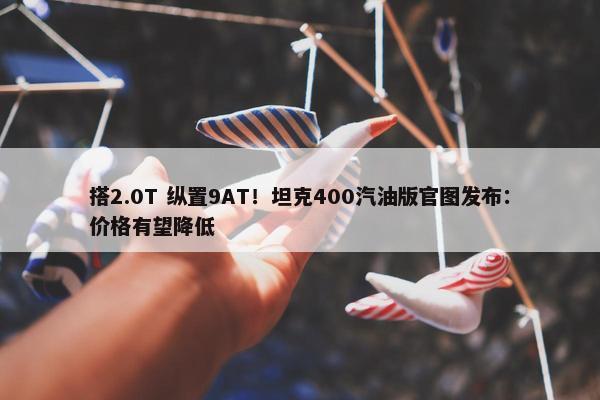 搭2.0T 纵置9AT！坦克400汽油版官图发布：价格有望降低