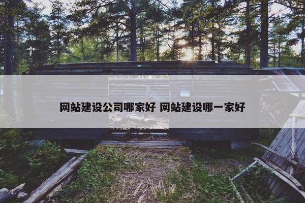 网站建设公司哪家好 网站建设哪一家好