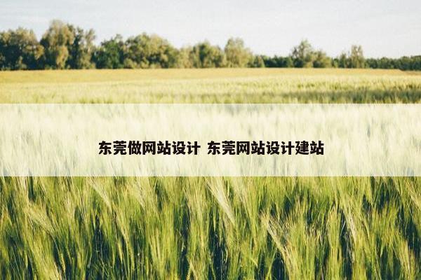 东莞做网站设计 东莞网站设计建站