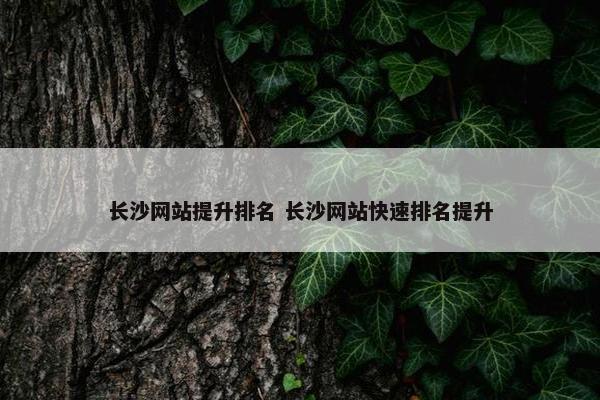 长沙网站提升排名 长沙网站快速排名提升