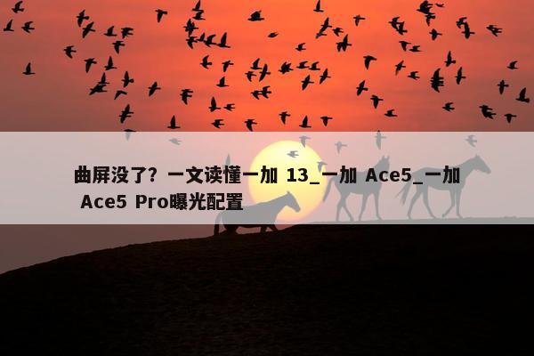 曲屏没了？一文读懂一加 13_一加 Ace5_一加 Ace5 Pro曝光配置