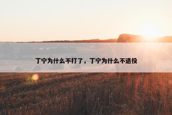 丁宁为什么不打了，丁宁为什么不退役