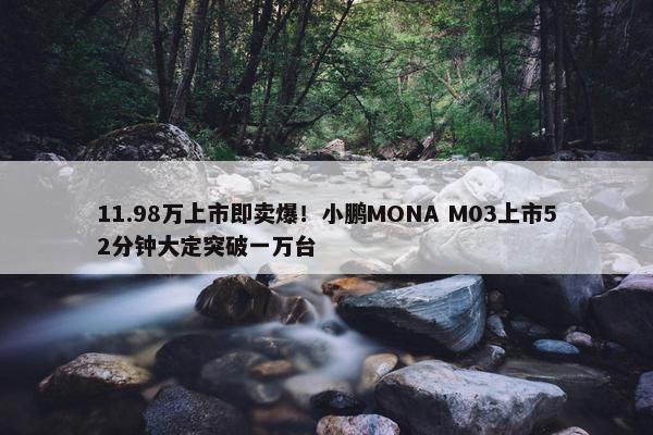 11.98万上市即卖爆！小鹏MONA M03上市52分钟大定突破一万台