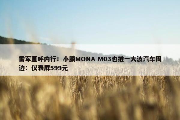 雷军直呼内行！小鹏MONA M03也推一大波汽车周边：仪表屏599元