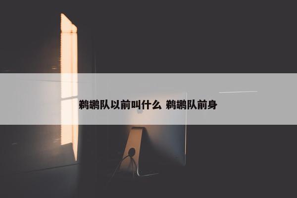 鹈鹕队以前叫什么 鹈鹕队前身