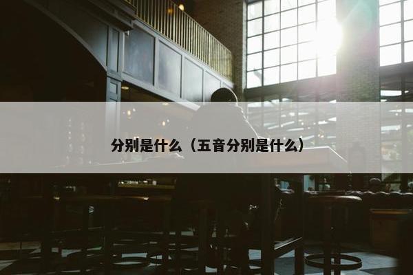 分别是什么（五音分别是什么）