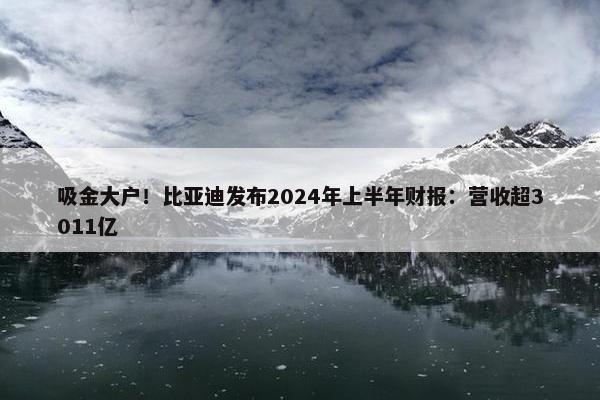 吸金大户！比亚迪发布2024年上半年财报：营收超3011亿