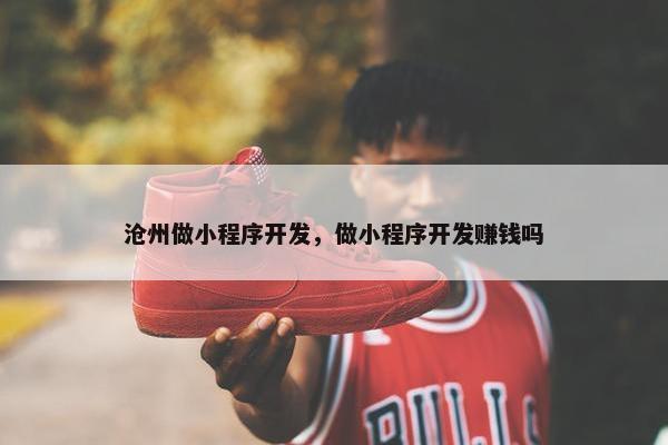 沧州做小程序开发，做小程序开发赚钱吗