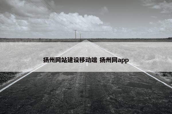 扬州网站建设移动端 扬州网app