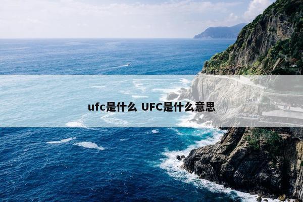 ufc是什么 UFC是什么意思