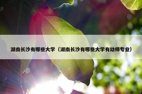 湖南长沙有哪些大学（湖南长沙有哪些大学有幼师专业）