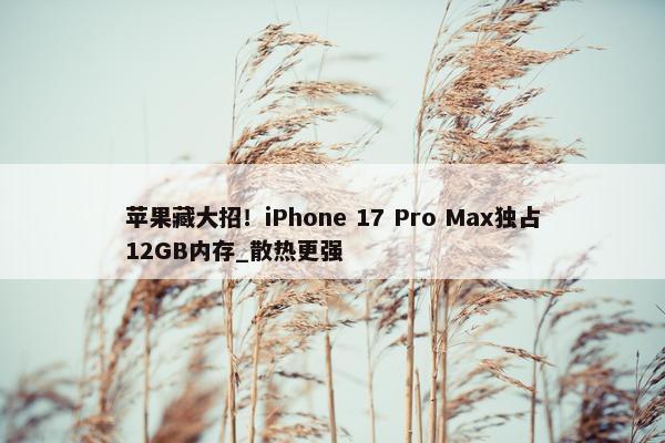 苹果藏大招！iPhone 17 Pro Max独占12GB内存_散热更强