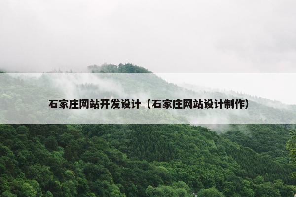 石家庄网站开发设计（石家庄网站设计制作）