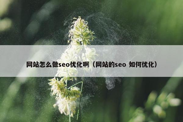 网站怎么做seo优化啊（网站的seo 如何优化）