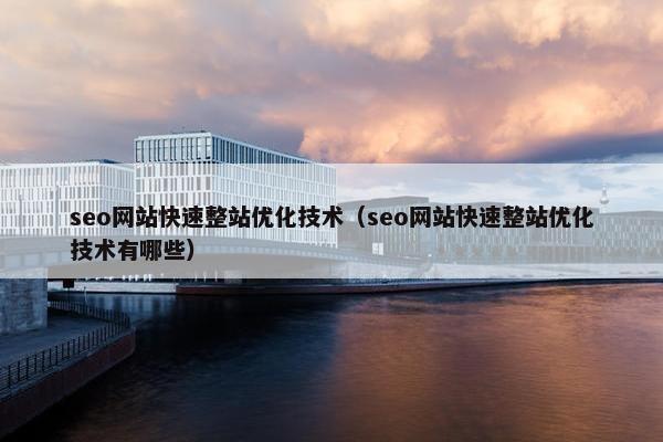 seo网站快速整站优化技术（seo网站快速整站优化技术有哪些）