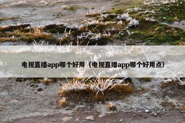 电视直播app哪个好用（电视直播app哪个好用点）