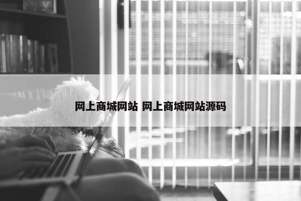 网上商城网站 网上商城网站源码