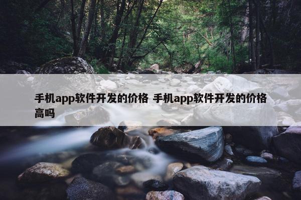 手机app软件开发的价格 手机app软件开发的价格高吗