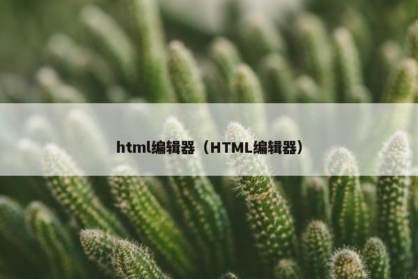 html编辑器（HTML编辑器）