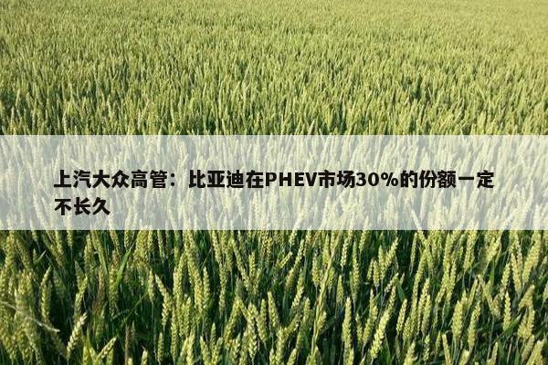 上汽大众高管：比亚迪在PHEV市场30%的份额一定不长久