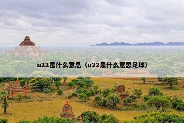 u22是什么意思（u22是什么意思足球）