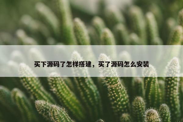 买下源码了怎样搭建，买了源码怎么安装