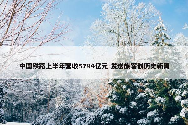 中国铁路上半年营收5794亿元 发送旅客创历史新高