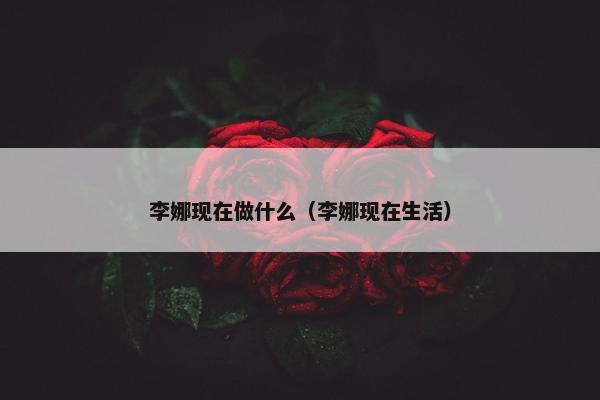 李娜现在做什么（李娜现在生活）