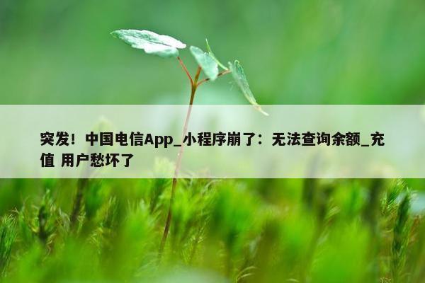 突发！中国电信App_小程序崩了：无法查询余额_充值 用户愁坏了