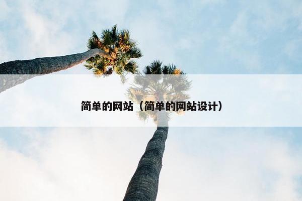 简单的网站（简单的网站设计）