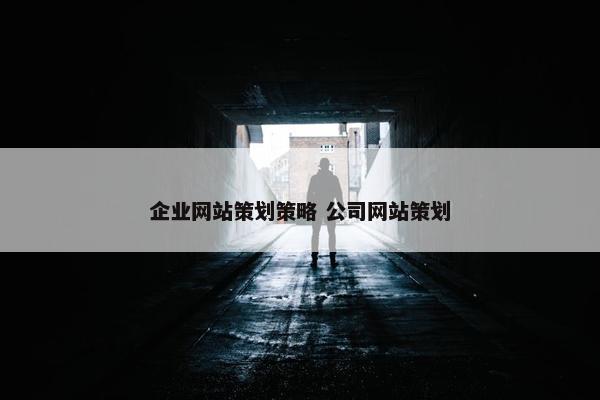 企业网站策划策略 公司网站策划