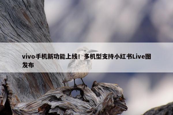 vivo手机新功能上线！多机型支持小红书Live图发布