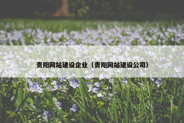 贵阳网站建设企业（贵阳网站建设公司）