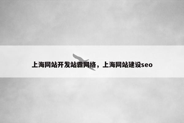 上海网站开发站霸网络，上海网站建设seo