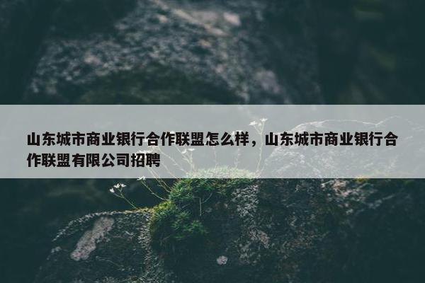 山东城市商业银行合作联盟怎么样，山东城市商业银行合作联盟有限公司招聘