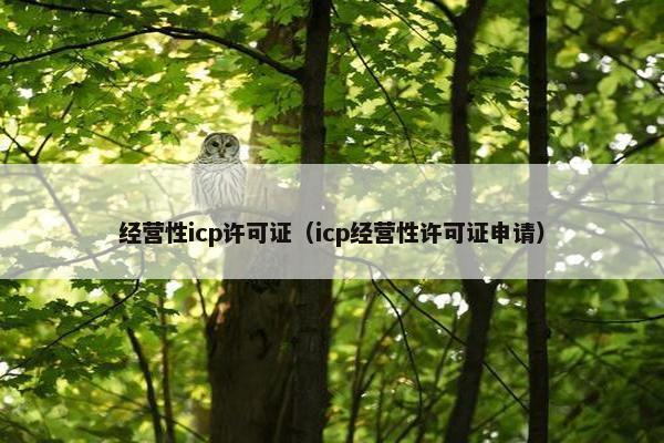 经营性icp许可证（icp经营性许可证申请）